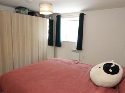 Picture 7